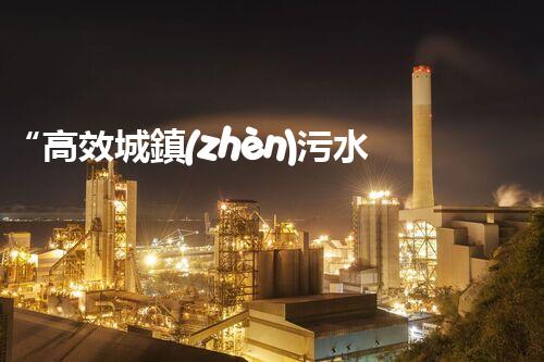 “高效城鎮(zhèn)污水處理流程，守護(hù)碧水藍(lán)天新篇章”
